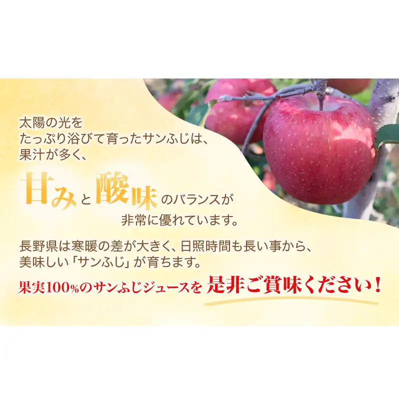 果汁100％りんごジュース 1L×6本 サンふじ ジュース ドリンク 信州 長野