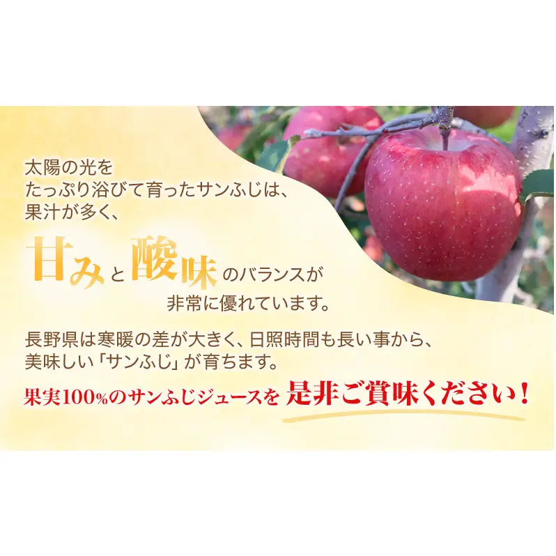 果汁100％りんごジュース 1L×12本 サンふじ ジュース ドリンク 信州 長野
