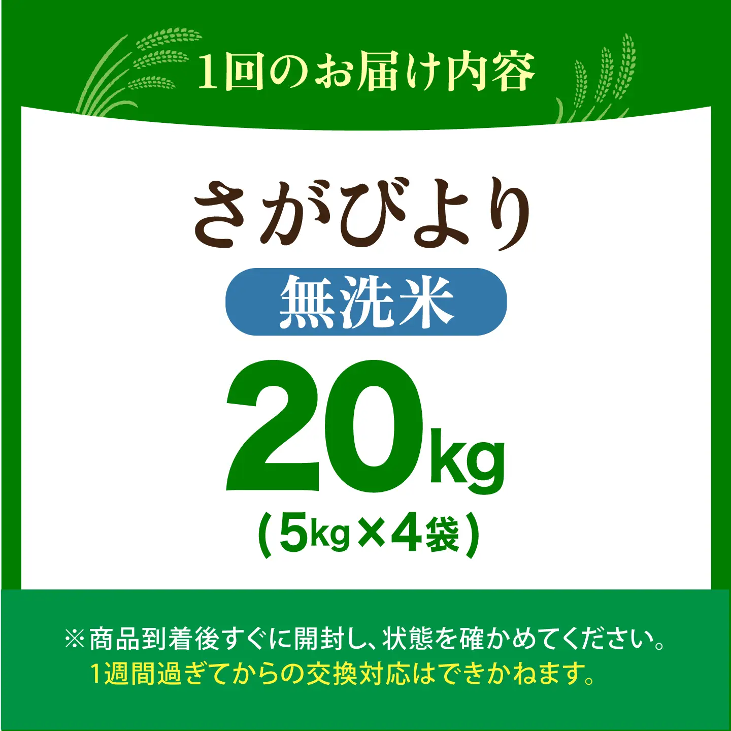 【全12回定期便】 さがびより 無洗米 20kg（5kg×4袋）【五つ星お米マイスター厳選】特A米 特A評価[HBL130]