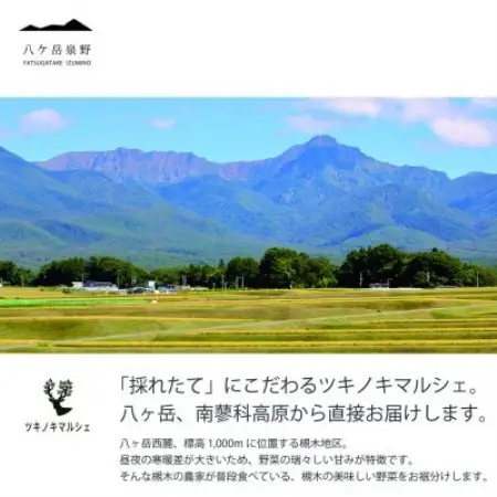 [八ヶ岳泉野]クレイジースウィートコーン　 15本詰込み【配送不可地域：離島・北海道・沖縄県】【1745835】