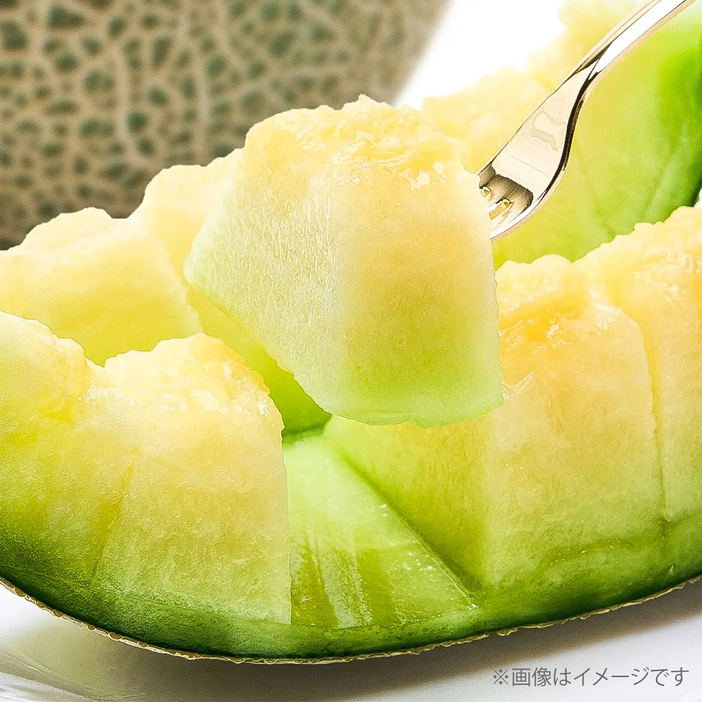 【数量限定30セット】神奈川県産 津久井浜 温室メロン アールスメロン 大玉 糖度16度前後 約2.0kg以上 1玉[AKJG001]