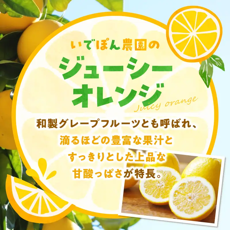 S086-009_【数量限定】井手尾さん家が丹精込めた天草の不知火とジューシーオレンジ 計約8kg