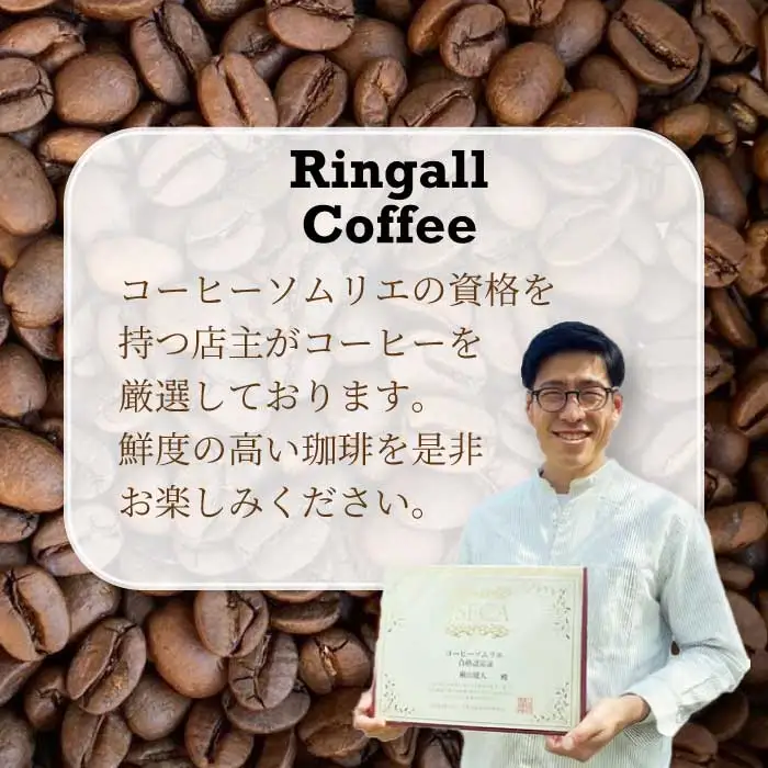 アイスコーヒー★夏季限定★【自家焙煎】水出しコーヒーバッグ12個セット（4個入り×3袋） 珈琲 ブレンド  パック  飲料  ドリンク  194007
