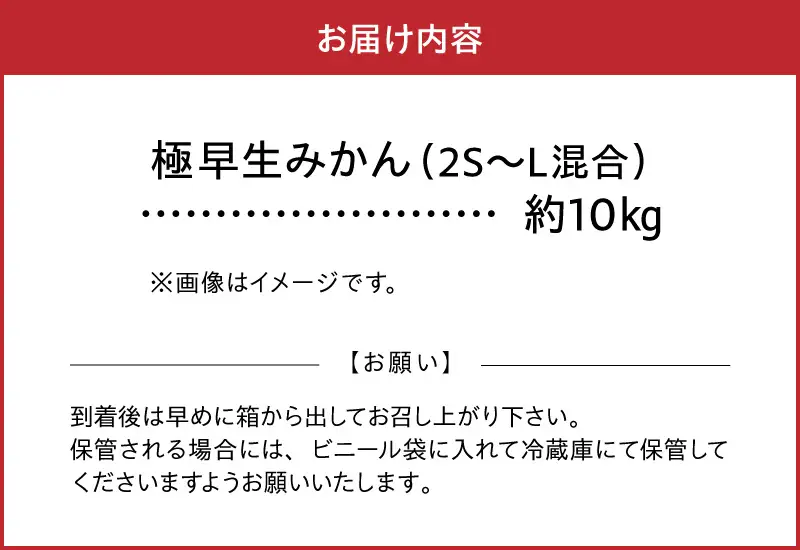 福島オレンジ農園　極早生みかん10kg _U54-0020