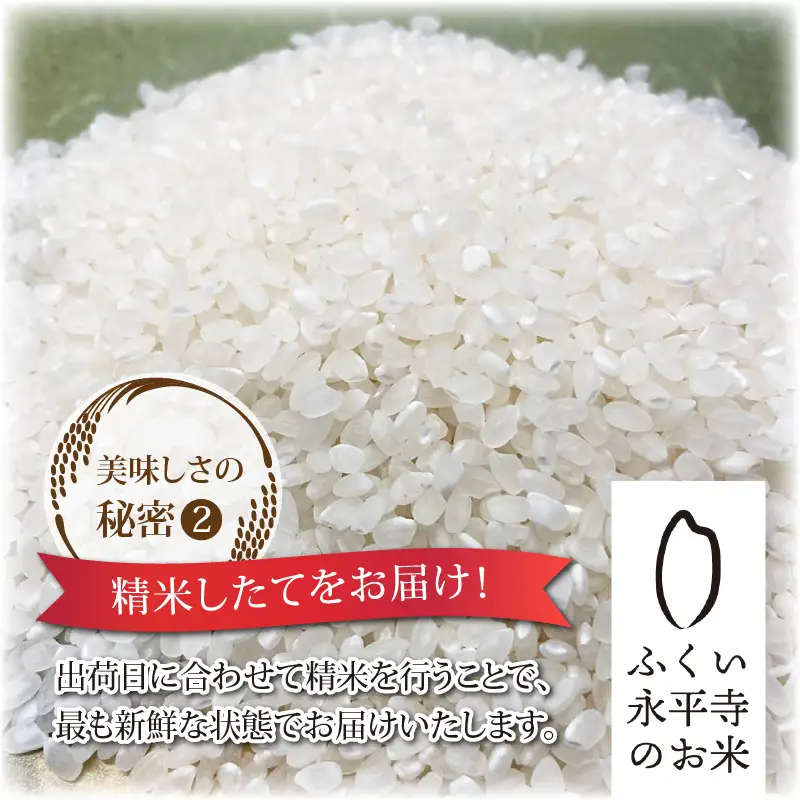 【令和8年度産 新米 先行予約】【白米】永平寺町産 コシヒカリ 白米 5kg こめ ごはん 精米 ご飯 お試し 白米 こしひかり