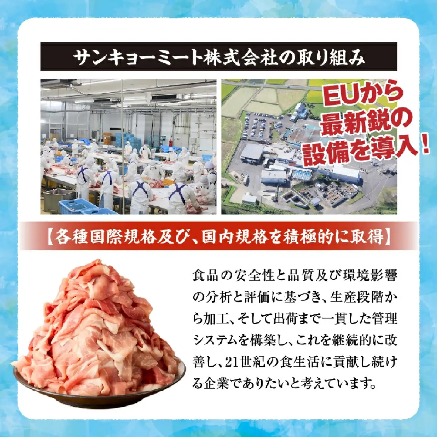 【訳あり】九州産豚肉ロースとんかつ計1.4kg(豚肉 ロース とんかつ 豚ロース ロースカツ 厚切り 九州産 国産豚肉 ジューシー やわらか 甘みのある脂 肉厚 )