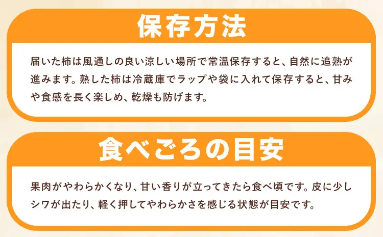 柿 秀品 紀の川柿 約6kg 