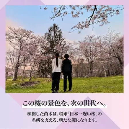 【返礼品なし】桜を雪害から復活させたい「日本一遅い桜まつり」応援寄附(1口1,000,000円)