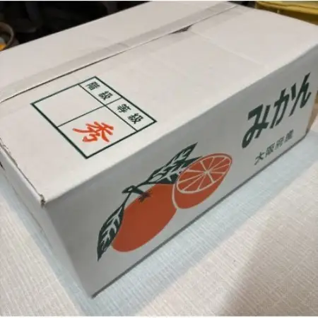 先行予約　大阪府和泉市産 宮川早生 和泉みかん 1ケース5Kg 11月中頃より発送【1672205】