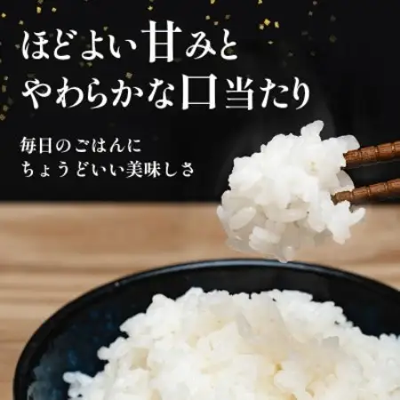 長野県産 越百黄金米(精米)5kg×2袋【1737901】