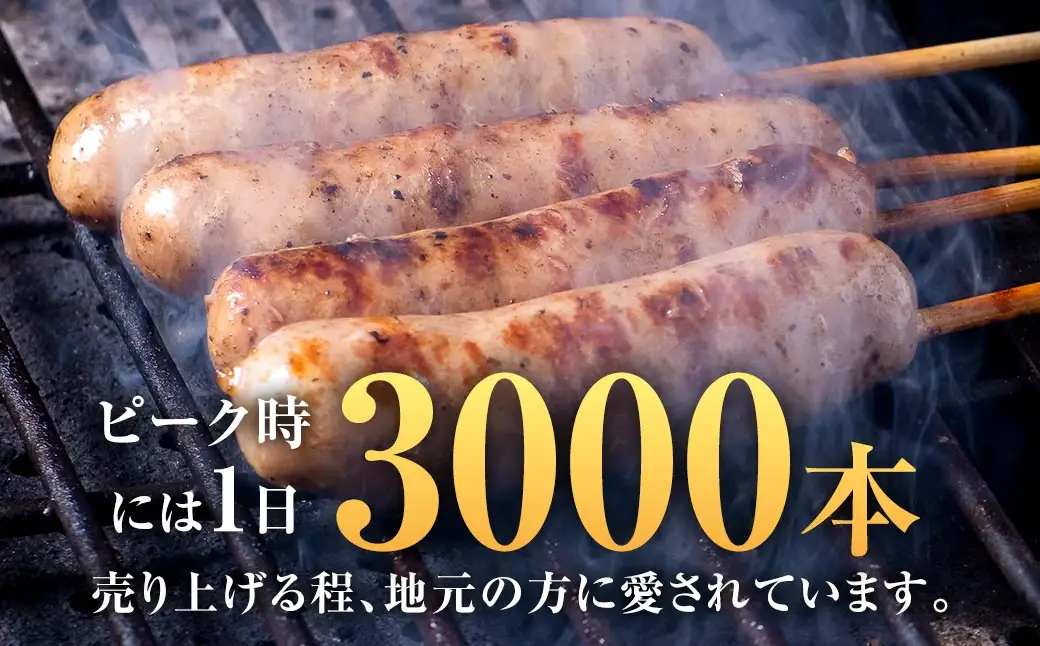 美河フランク （ 生フランク ） 5本入 ( 475g × 2パック )  計950g