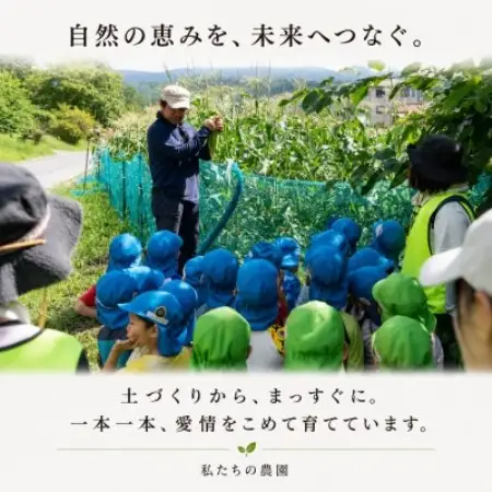 朝採り出荷　長野県茅野市産　とうもろこし　計約4kg【配送不可地域：離島・北海道・沖縄県】【1746415】