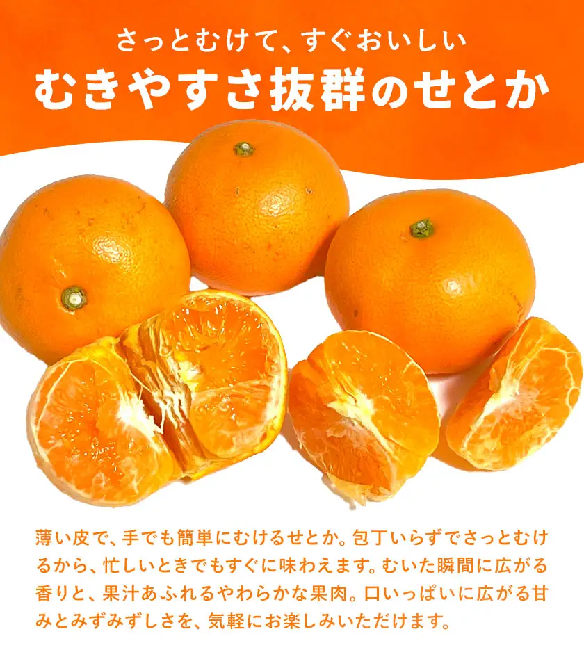 せとか 訳あり 9kg