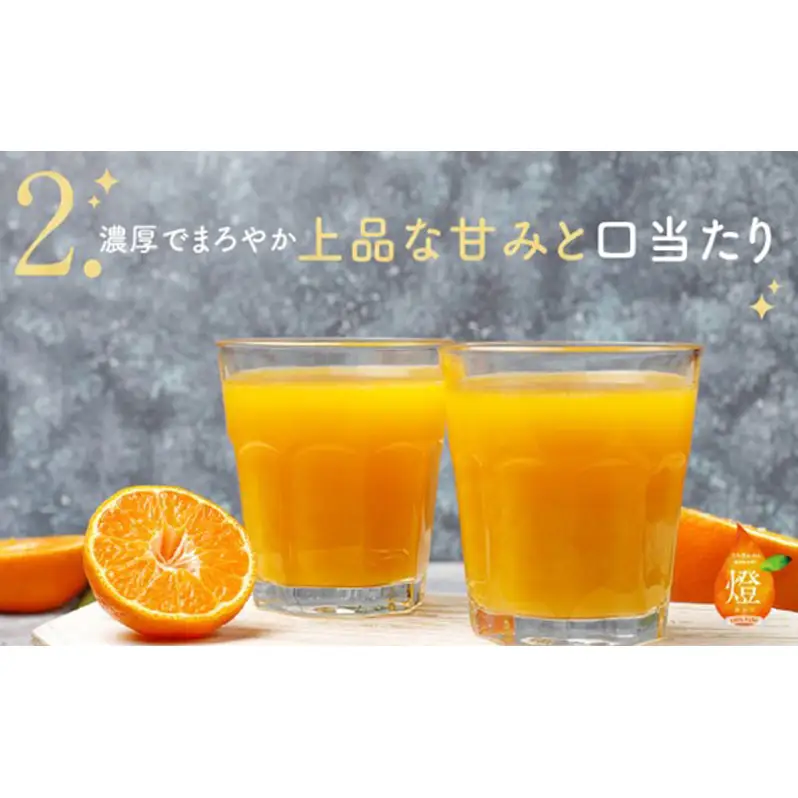 三ヶ日みかん生搾りジュース燈（あかり）【180ml×6本入】 みかん ジュース 濃厚 三ヶ日みかん青島 生搾り 100%ジュース 静岡 浜松市