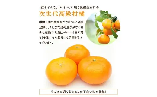 甘平 約2kg みかん ミカン 蜜柑 柑橘 柑橘系 柑橘類 くだもの 果物 フルーツ 果実 果汁 果肉 国産 愛媛県産 愛媛みかん かんぺい 果肉感 【2027年2月下旬-4月下旬発送予定】 ( 1118 )