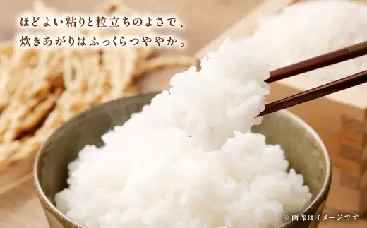 清流と盆地が育てたお米 人吉球磨産 ヒノヒカリ10kg ( 2kg × 5袋 ) お米 米 こめ コメ 白米 白飯 飯 ご飯 おにぎり ブランド米 ブランド 国産 熊本県産 ミネラル お弁当 甘み 旨み