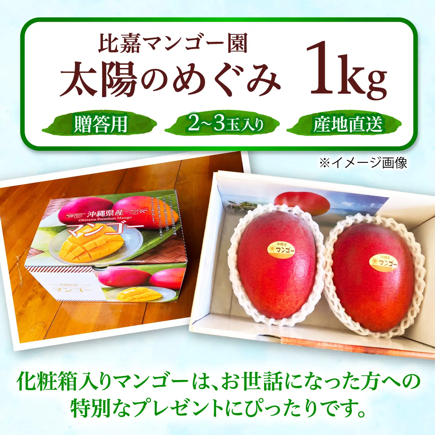 【贈答用】マンゴー「太陽のめぐみ」 1kg(2〜3玉) (化粧箱入り) BCEW001