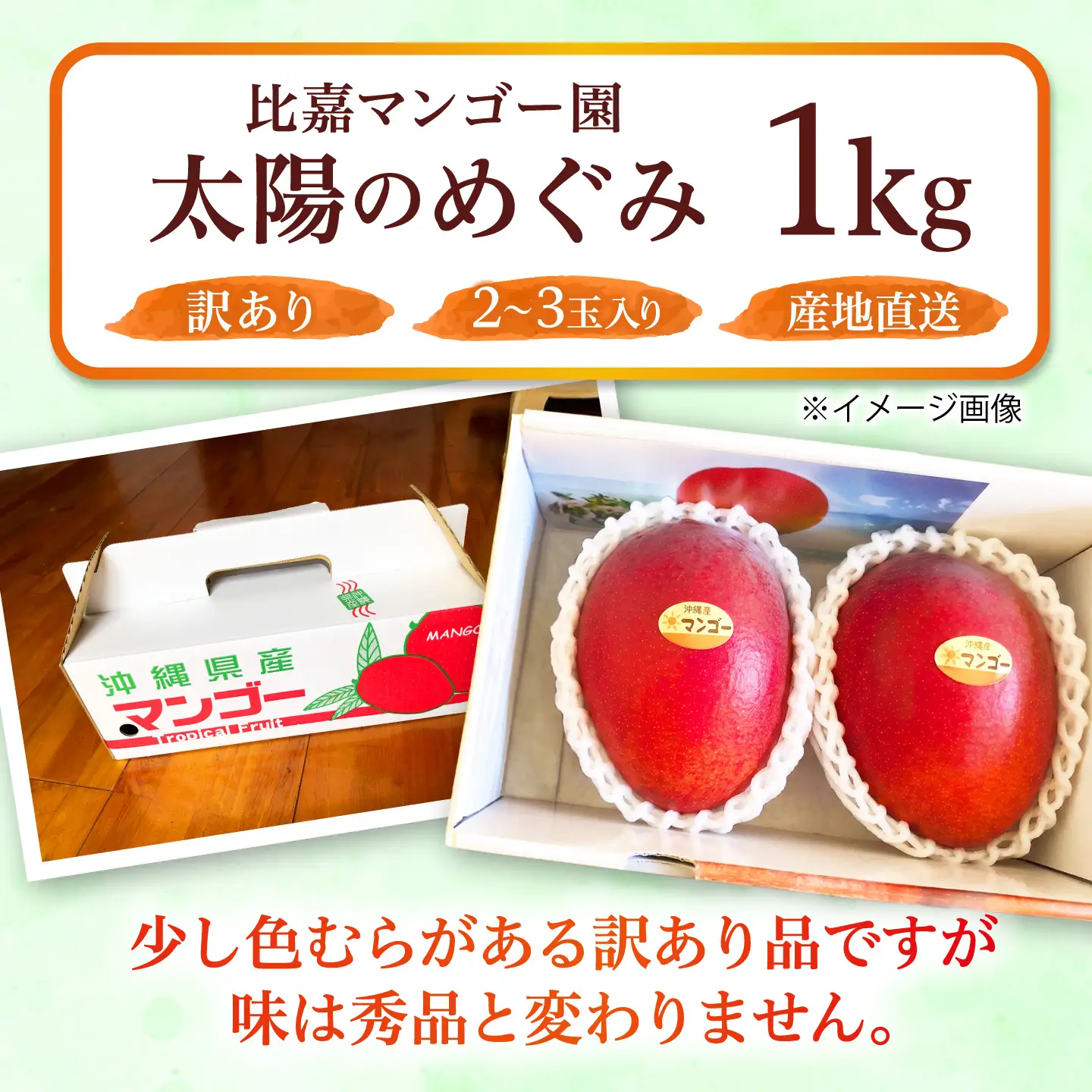 【訳あり】マンゴー 太陽のめぐみ 1kg BCEW003
