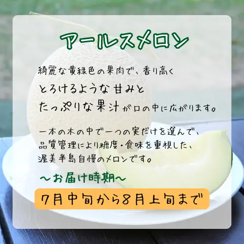 青果市場の野菜ソムリエ厳選 ジューシー メロン 3兄弟 定期便 全3回