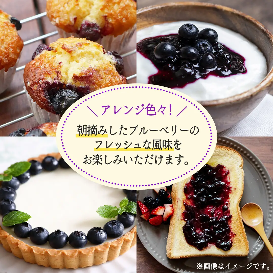 【先行予約】朝摘み 生 ブルーベリー 1kg (500g×2) 2027年6月中旬発送 国産 期間限定 数量限定 冷蔵 果物 ぶるーべりー ベリー フルーツ くだもの ヨーグルト 新鮮 産地直送 おすすめ 甘い 茨城県 城里町 そよ風の丘 城里ブリーベリーガーデン[CB001]