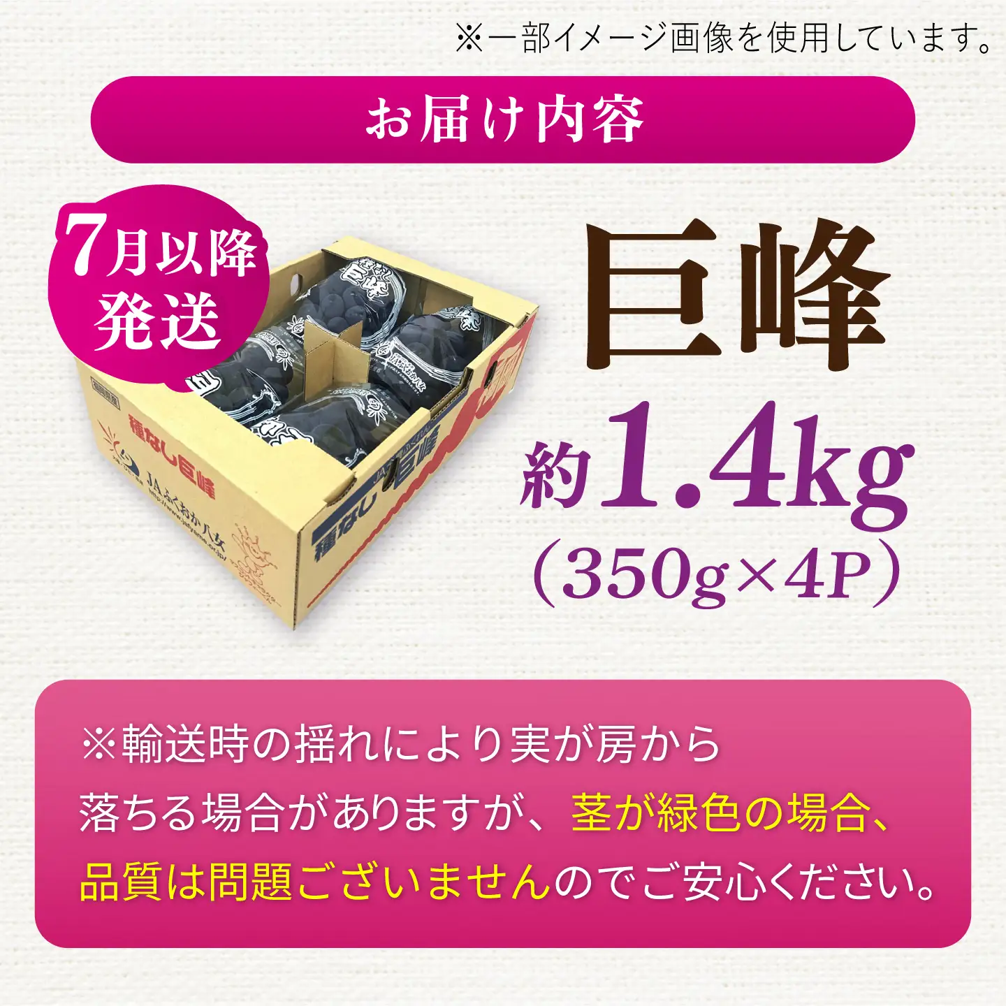 ぶどう 種なし巨峰  約1.4kg 先行予約 2026年7月中旬より発送 [AFAB017] ぶどう