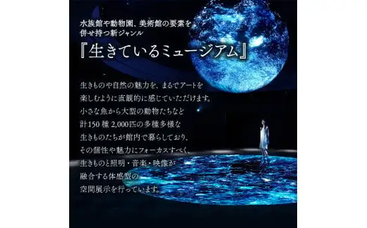 【3カ月ごとお届け】ニフレル入館券 大人1枚+こども1枚 全4回 