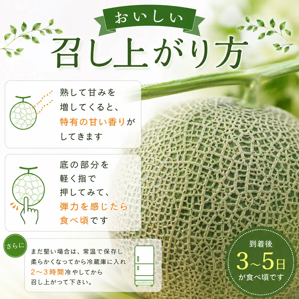 【令和9年産 先行予約】北海道メロン 赤肉品種（家庭用）1玉 2kg以上 高級メロン！ 果物 フルーツ ギフト 農家直送