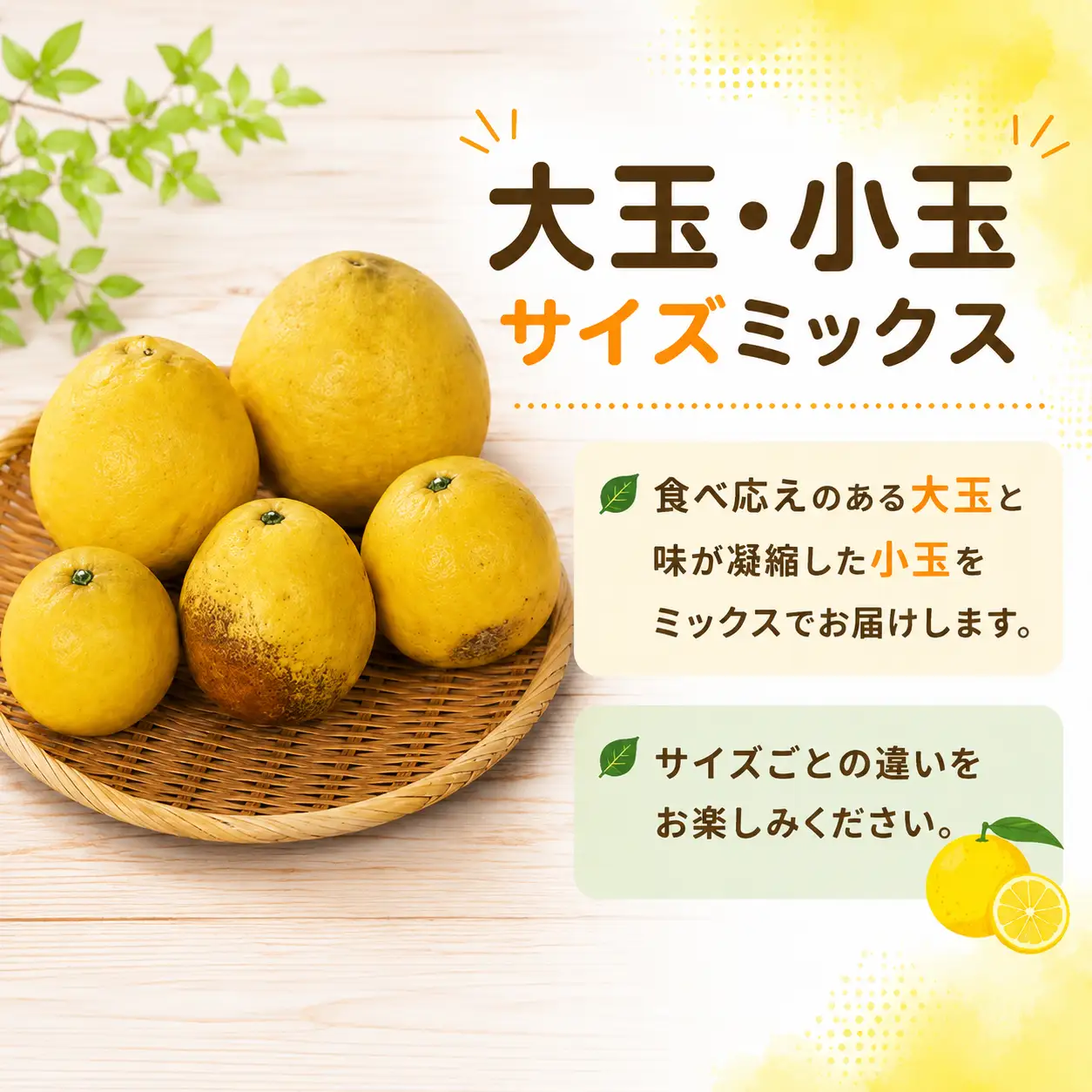 河内晩柑 (愛南ゴールド) 大玉小玉ミックス 9kg 河内晩柑 愛なんよ ainanyo021