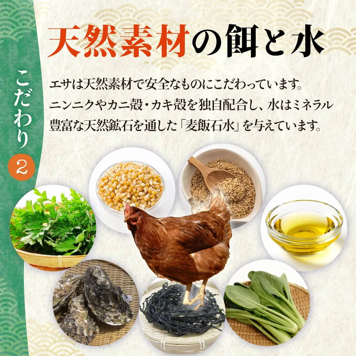 卵朝どり 厳選卵 30個 割れ保証付き 6ヶ月定期便