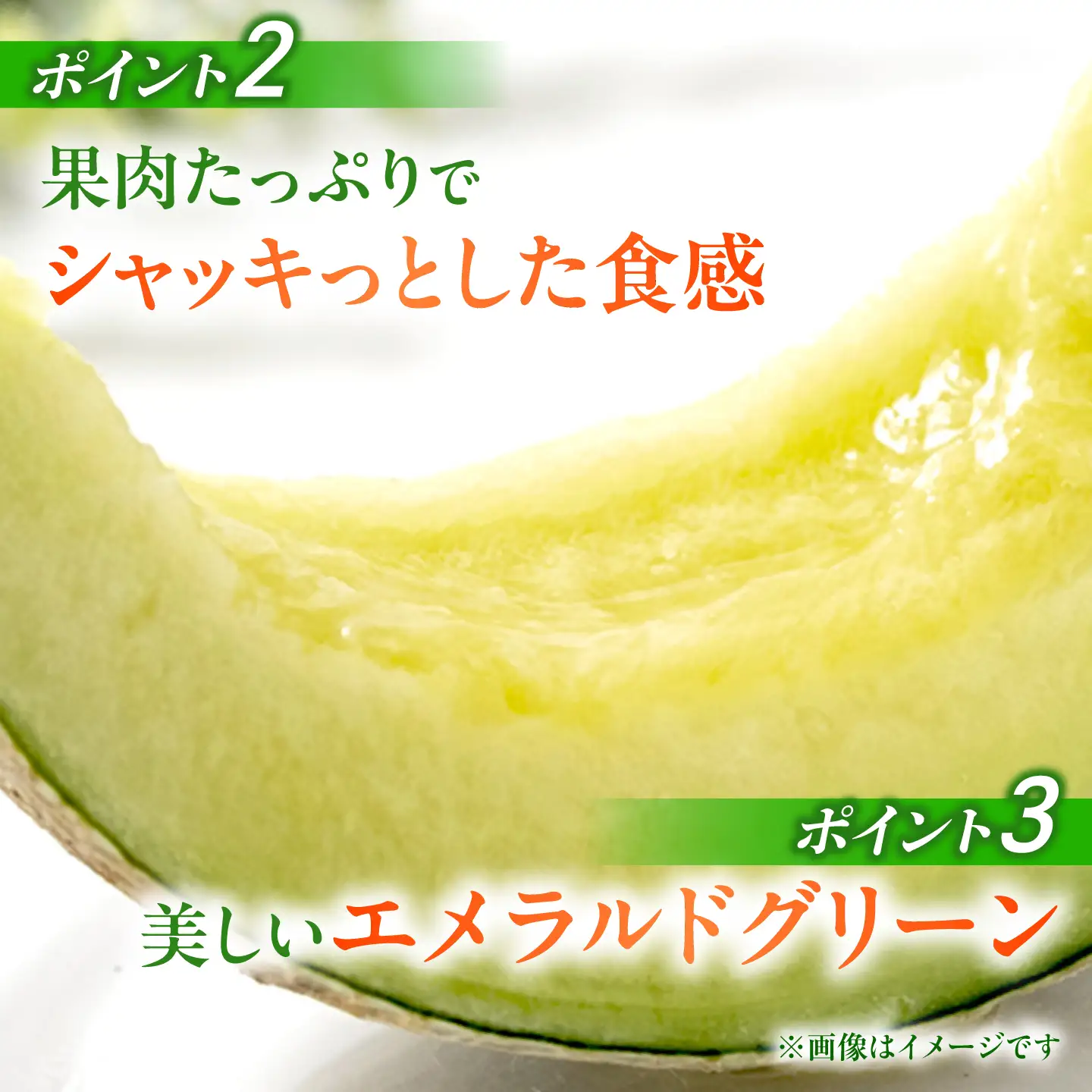 【先行予約】肥後グリーンメロン 1玉 計約2kg【合同会社 福福堂】[ZCN020]