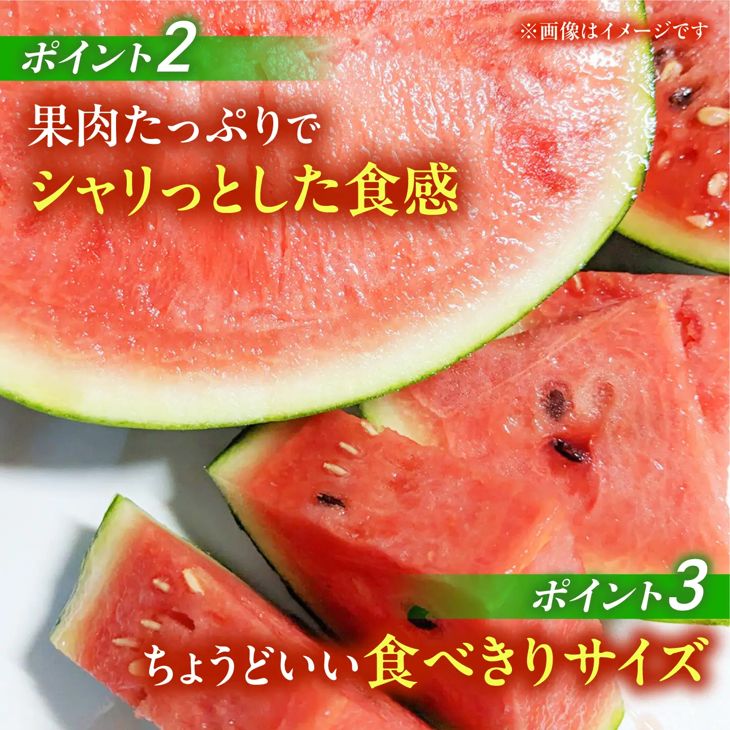 【先行予約】小玉 すいか 1玉 ひとりじめ 計2kg【合同会社 福福堂】[ZCN021]