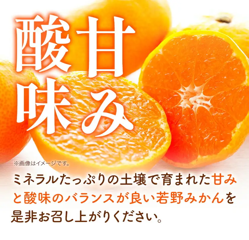 訳あり 若野みかん (2S～Lサイズ)  約3kg マルエイ農園