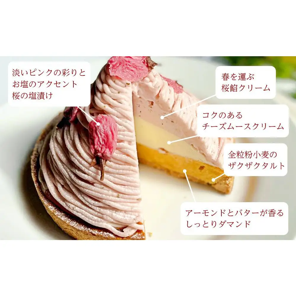＜1～6月末発送＞平戸産全粒粉小麦のさくらちーずたると 1ホール(12cm・2～4人用) 長崎県/心優-CotoyuSweets-