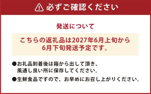 【先行受付】 とうもろこし ピュアホワイト 約4kg （11～16本） トウモロコシ 白いとうもろこし 白いスイートコーン コーン 野菜 【2027年6月上旬から6月下旬発送予定】