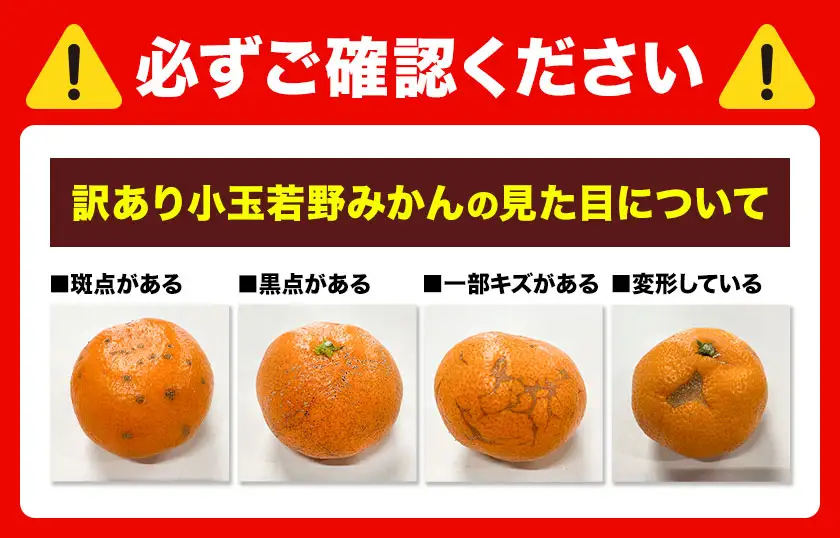 訳あり 小玉若野みかん (2S-3Sサイズ)  約3kg マルエイ農園