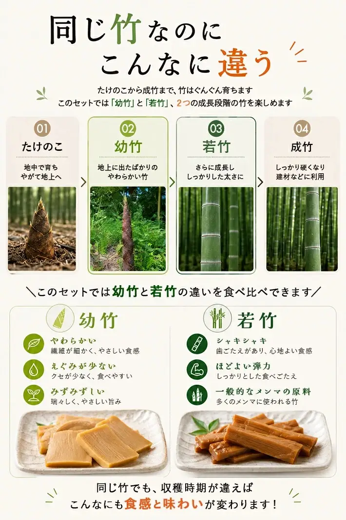 遊佐産メンマセット 板メンマ 山形玉コン味 300g×3袋 鳥海遊佐メンマ 煮干しラーメン味 150g×3袋 計6袋 山形県遊佐産 おつまみ おかず 醤油ラーメン トッピング 極太メンマ 若竹メンマ 幼竹メンマ 孟宗竹 東北 庄内 遊佐町 まえむき [1599]