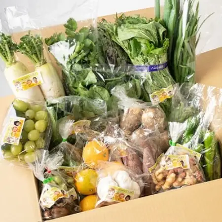 【栽培期間中化学肥料・農薬不使用なので安心・安全】　季節の新鮮野菜の詰め合わせ【配送不可地域：離島】【1117224】