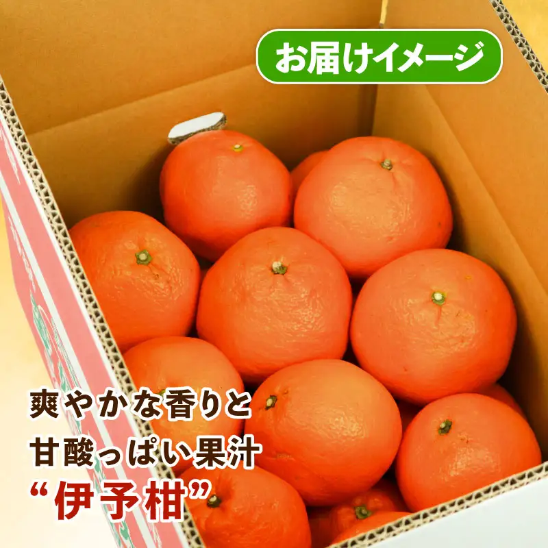 みかん 訳あり 伊予柑 いよかん 約5kg スーパー山田屋 先行予約 果物 くだもの フルーツ 柑橘 mikan 蜜柑 愛媛蜜柑 愛媛みかん わけあり サイズ 不揃い 産地直送 数量限定 国産 愛媛 宇和島 B010-198005