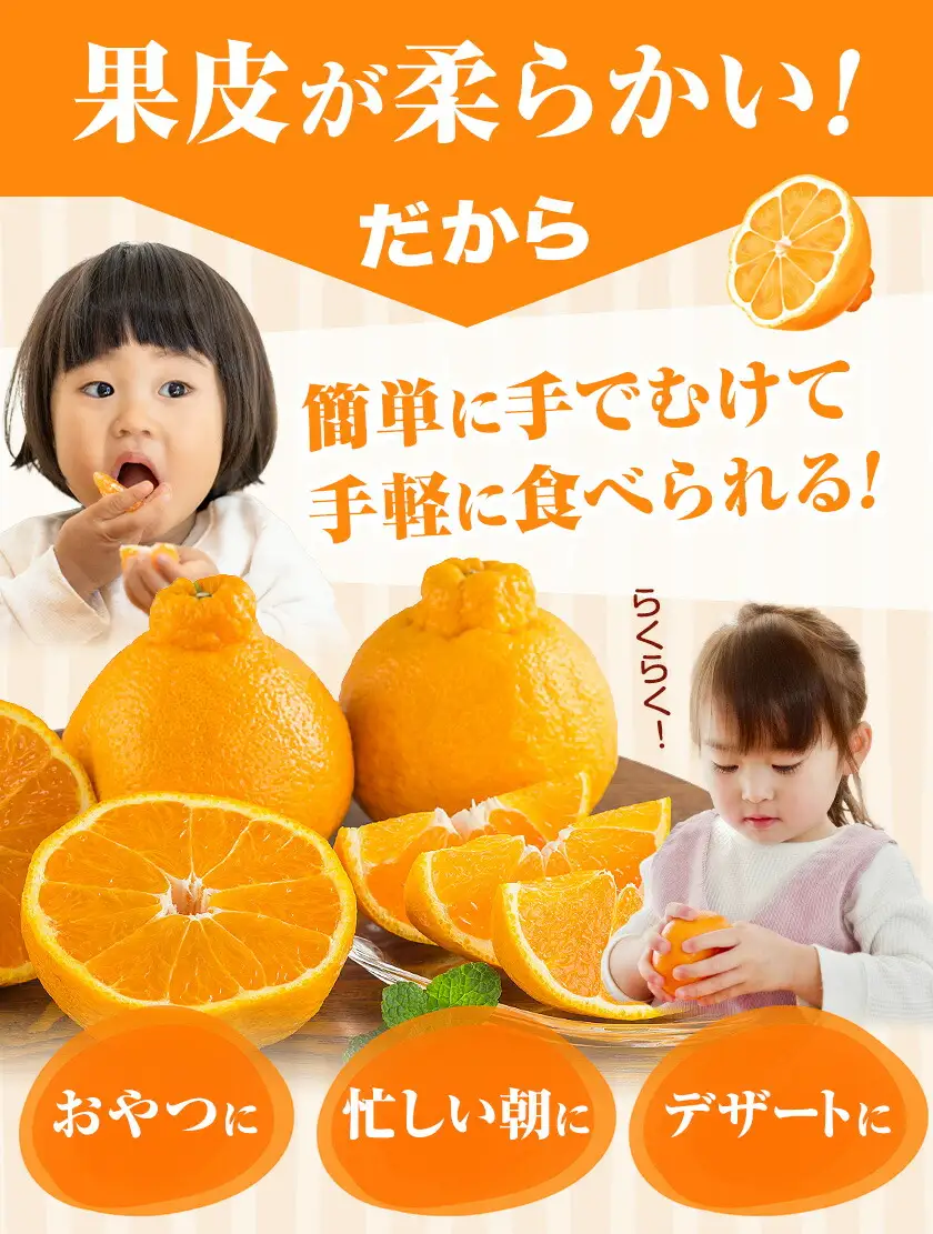 不知火 秀品 約2kg 20玉前後 農園誉 しらぬい