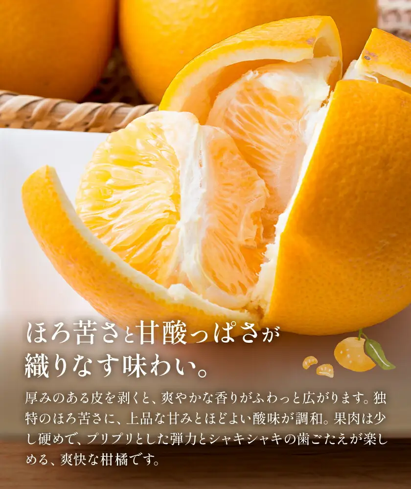 八朔 約10kg (約30玉前後) 農園誉 はっさく