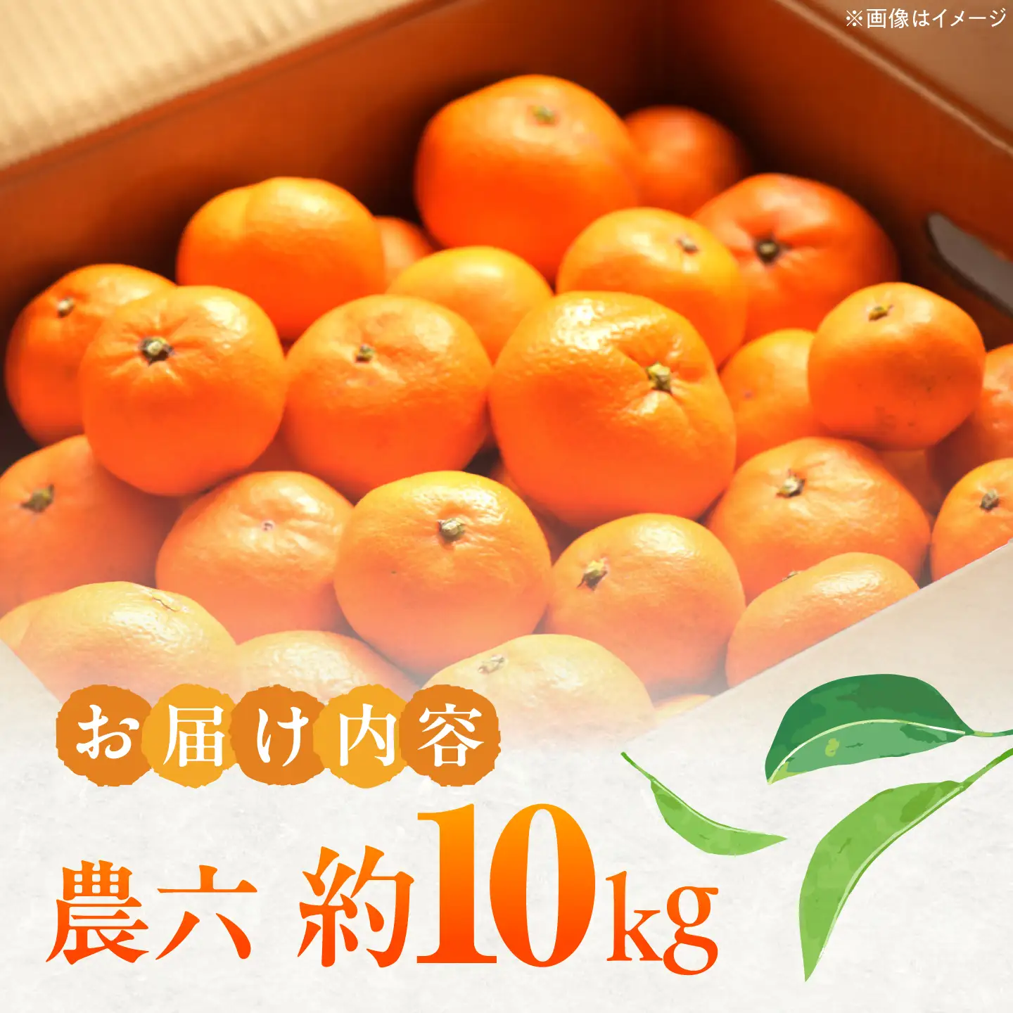 みかん 農六 約10kg【2月上旬から3月下旬まで順次発送】 / フルーツ 果物 蜜柑 ミカン オレンジ 小玉 甘い 先行予約 10kg 愛媛 / 愛媛県砥部町/和氣隆司[BJBF004]
