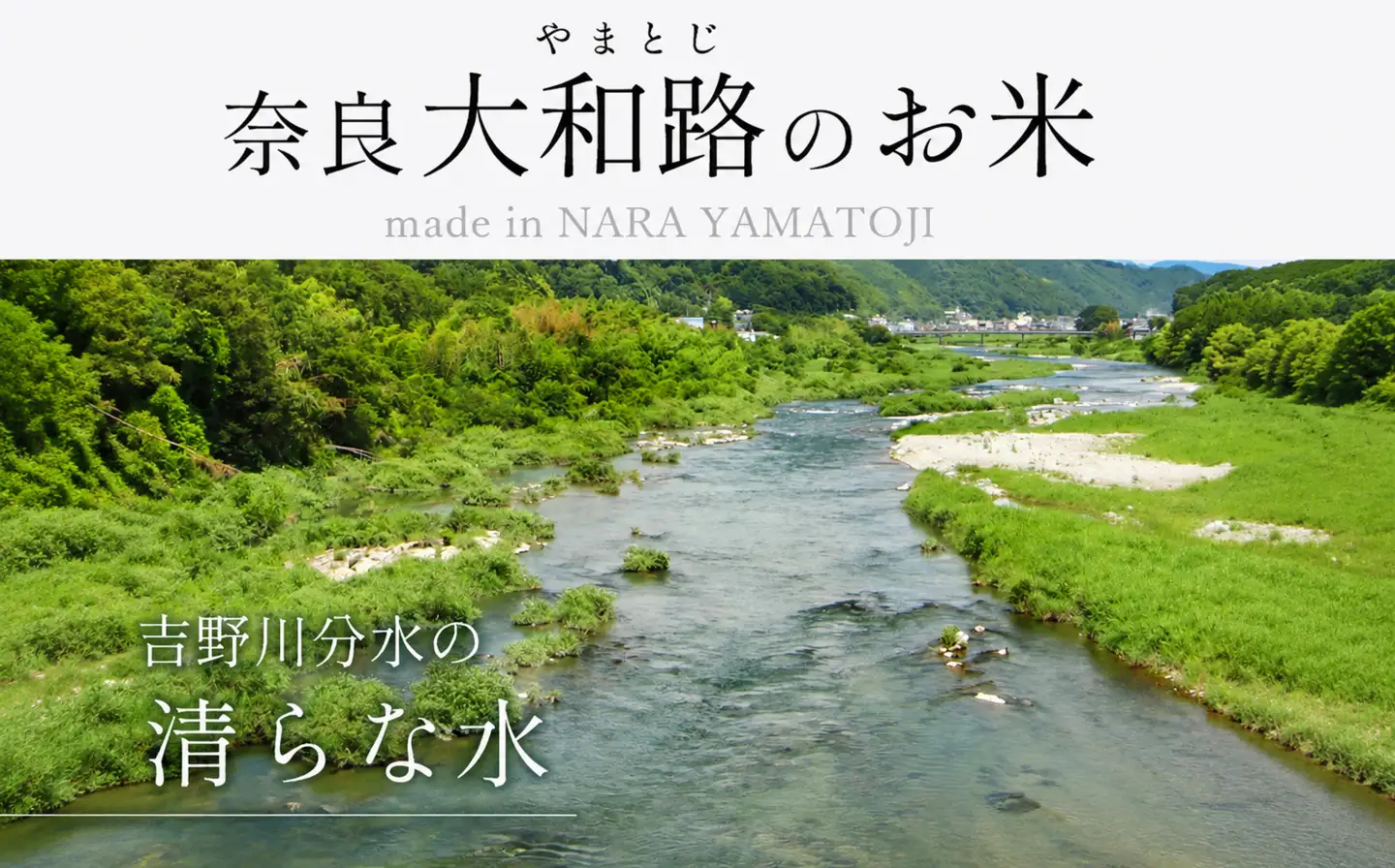奈良大和路 ひのひかり 白米 10kg 【令和7年産】| コメ 米 こめ お米 おこめ オコメ ひのひかり おにぎり 白米 おにぎり | 奈良県 五條市