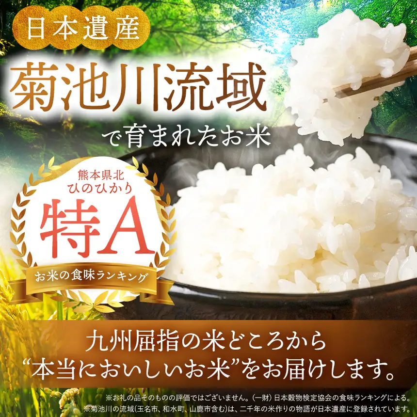 ひのひかり 10kg と 訳あり 有明海産 焼き海苔 全形 30枚 セット ｜ 米 海苔 のり 焼き海苔 熊本県 玉名市