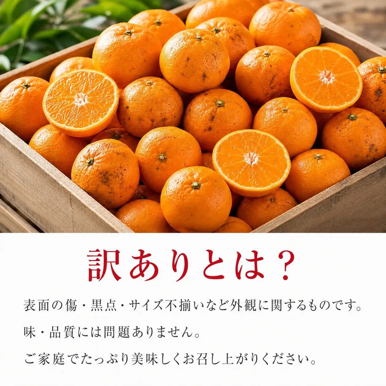 和歌山有田みかん10kg【訳ありご家庭用】2S〜2Lサイズ混合【11月下旬～12月下旬頃発送予定】【uot871】