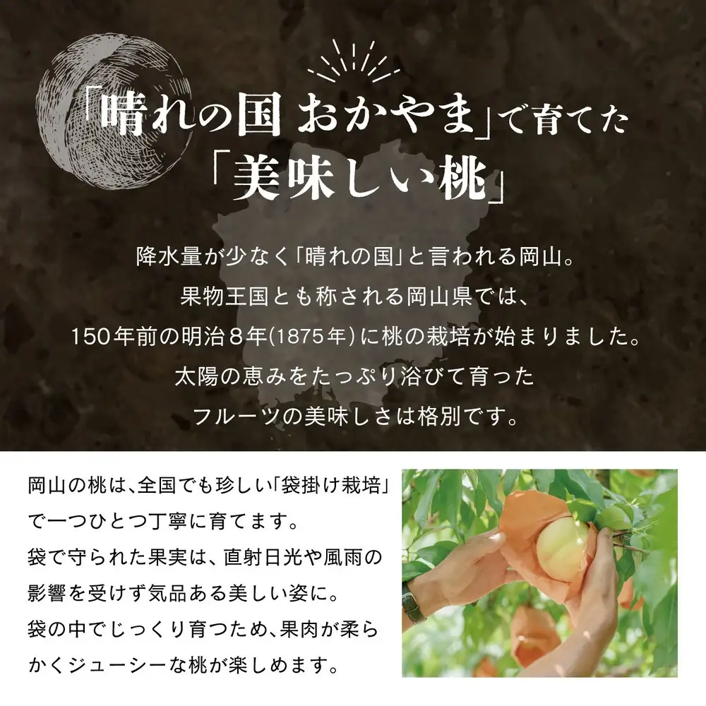晴れの国　おかやまの白桃＆黄金桃食べ比べ4玉　＜先行受付：2026年8月下旬～発送＞