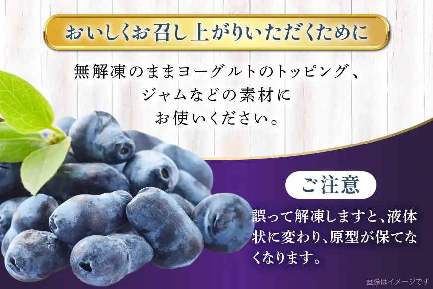 ハスカップ 冷凍 500g × 2 計 1kg