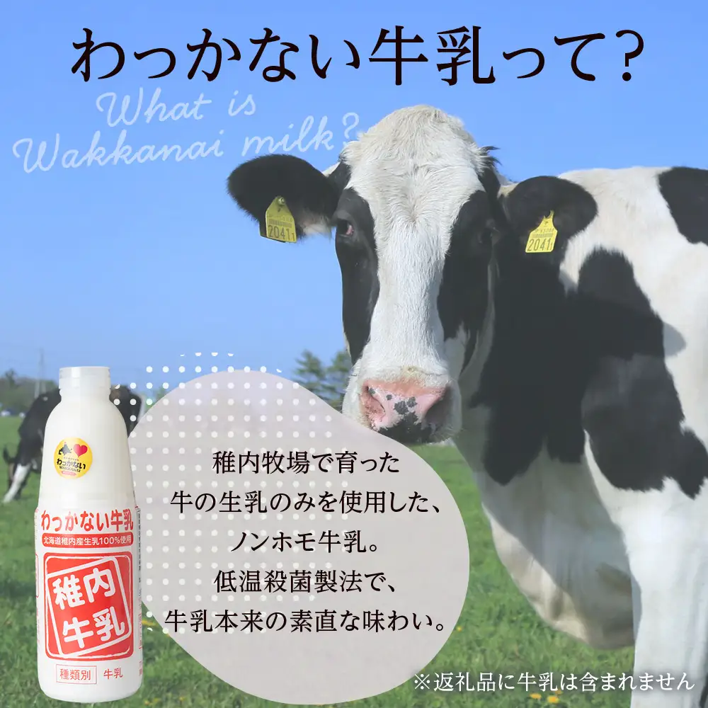 さいほく稚内練乳菓 10個入り×3箱