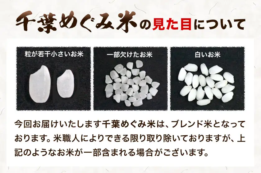 米 精米 千葉めぐみ米 20kg 千葉県産