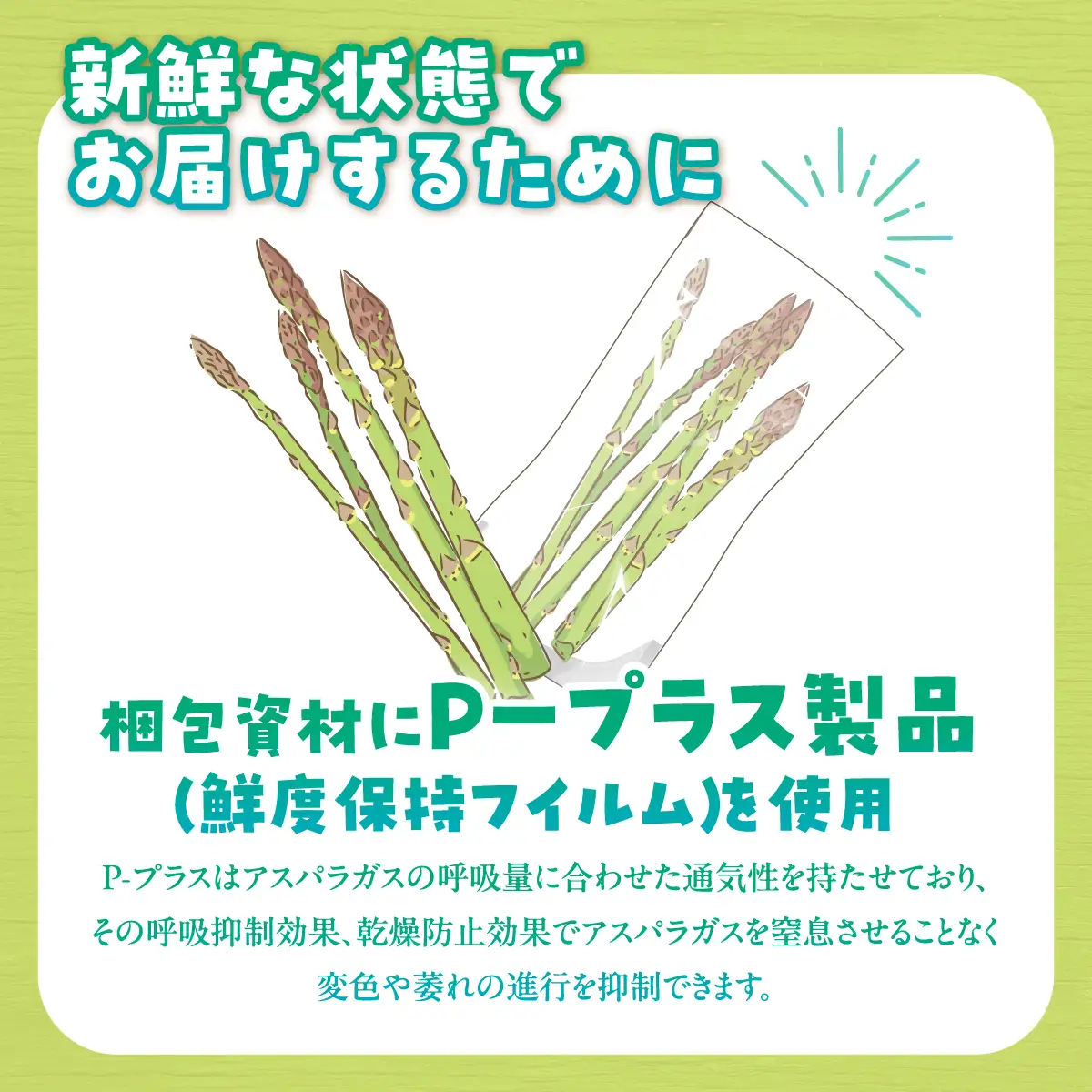 夏アスパラMサイズ 約1.2kg（150g×8袋入） MKWM006 