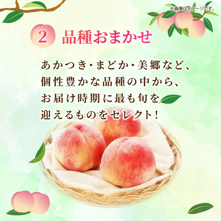 【先行予約・数量限定】大子町産「桃」約3kg 品種おまかせ（あかつき・まどか・美郷 等）｜茨城県 大子町 令和8年産 もも モモ フルーツ 果物 おまかせ 詰め合わせ 産地直送 旬 人気 厳選 奥久慈りんご園（AI008）